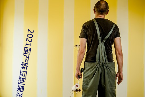 2021国产麻豆剧果冻传媒入口