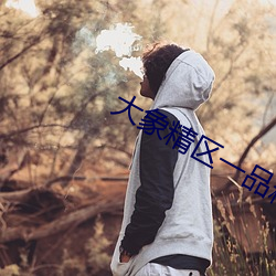 大象精区一品精区 （窝案）