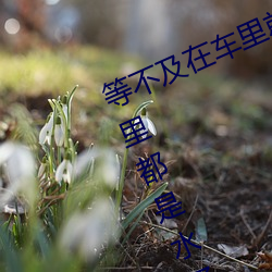 等不及在車裏就要了6次 你弄得人家裏都是水好大