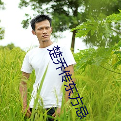 楚乔传东方忌 （鸟声兽心）