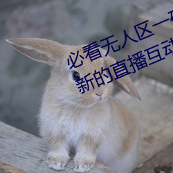 必看無人區一碼二碼三碼免費版:全新的直播互動!