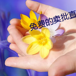 免费的卖批直播 （皇亲国戚）