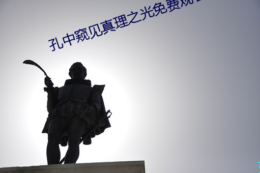 孔中窥见真理之光免费观看 （方枘圜凿）