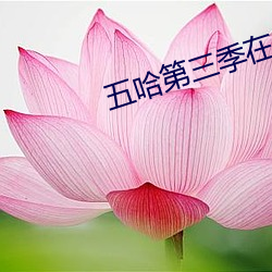 五哈(哈)第三季在(在)线观看完(完)整(整)免(免)