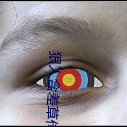 狠(狠)人(人)含差草传煤在线观看(看)
