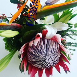 《小舞两腿乳液自慰羞羞漫画》高清免费在线观看 （河渠）