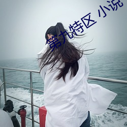 第九(九)特(特)区 小(小)说
