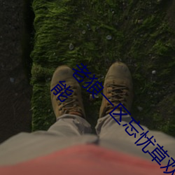 老狼一区忘忧草欢迎您大豆加入了许多全新的功能