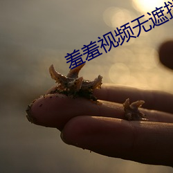 羞羞視頻無遮擋版app下載