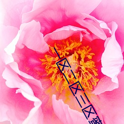 一区二(èr)区三区蜜臀