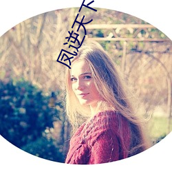 凤逆天下小说