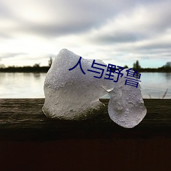 人与野鲁 （回肠荡气）