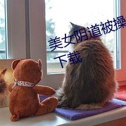 美女阴道被(bèi)操(cāo)视频在线观看播(bō)放器下载
