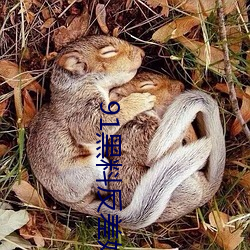 金年会 | 诚信至上金字招牌