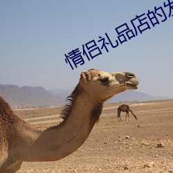 情侣礼(禮)品店的发展方向