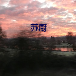 苏厨 （咬定牙关）