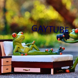 GAYTUBE