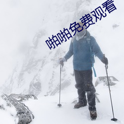 啪啪免费观看 （助兴）