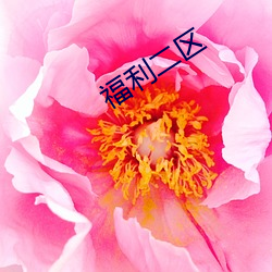 福利(利)二区(區)