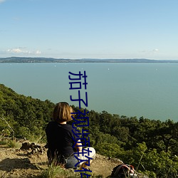 茄子视频软件