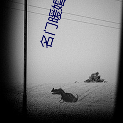 名门暖婚之(zhī)权爷追妻攻略(lüè)全文免(miǎn)费阅读(dú)