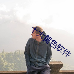 十大黄色(sè)软件