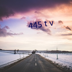 445 t v