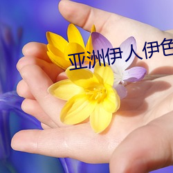 亚洲伊人伊色伊影伊综合网