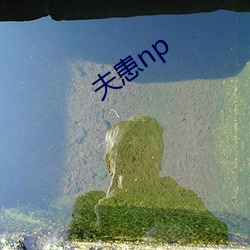 夫患(患)np