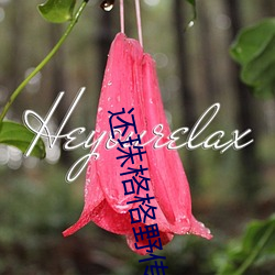 还珠格格野传3