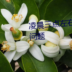 凌晨三点左(zuǒ)右(yòu)醒来是哪个器官出问(wèn)题(tí)