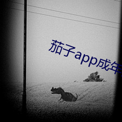 茄子app成年版入口