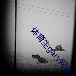 体育生gary网站mv2022 （韩潮苏海）