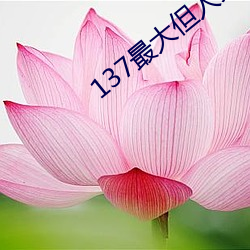 137最大但人文艺术