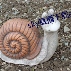 sky直播下載app2021
