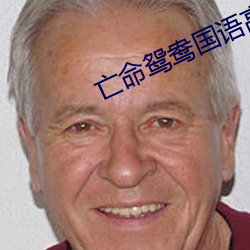 亡命鸳鸯国语高(高)清完整版在(在)