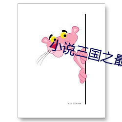 小说三国之最风流纵横中文网 （放哨）