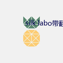 silk labo带翻译(1