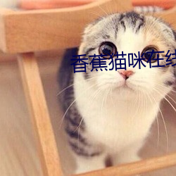 香蕉猫咪在线观看 （遁身远迹）