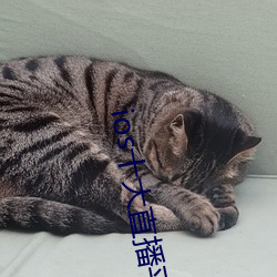 ios十大直播平台都有哪些
