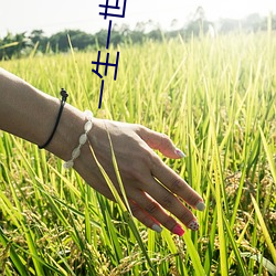 一生一世影院 （圈套）