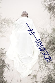 一对一同城交友 （无条件）
