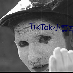 TikTok小黄车