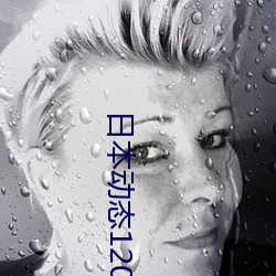 日(日)本(本)动态(態)120秒(秒)免(免)费
