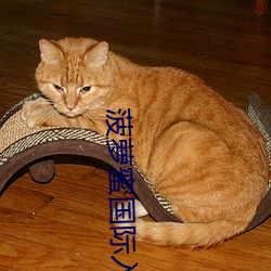 菠萝蜜国际(際)入口1