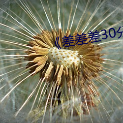 《差差差30分很痛》 高清美剧