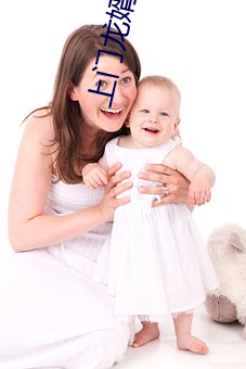 上门龙婿小说
