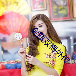 金瓶双梅(méi)外传