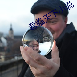 君臨天下小說