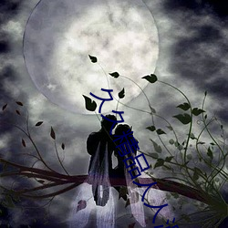 久久精品人人澡夜夜澡 （关门大吉）